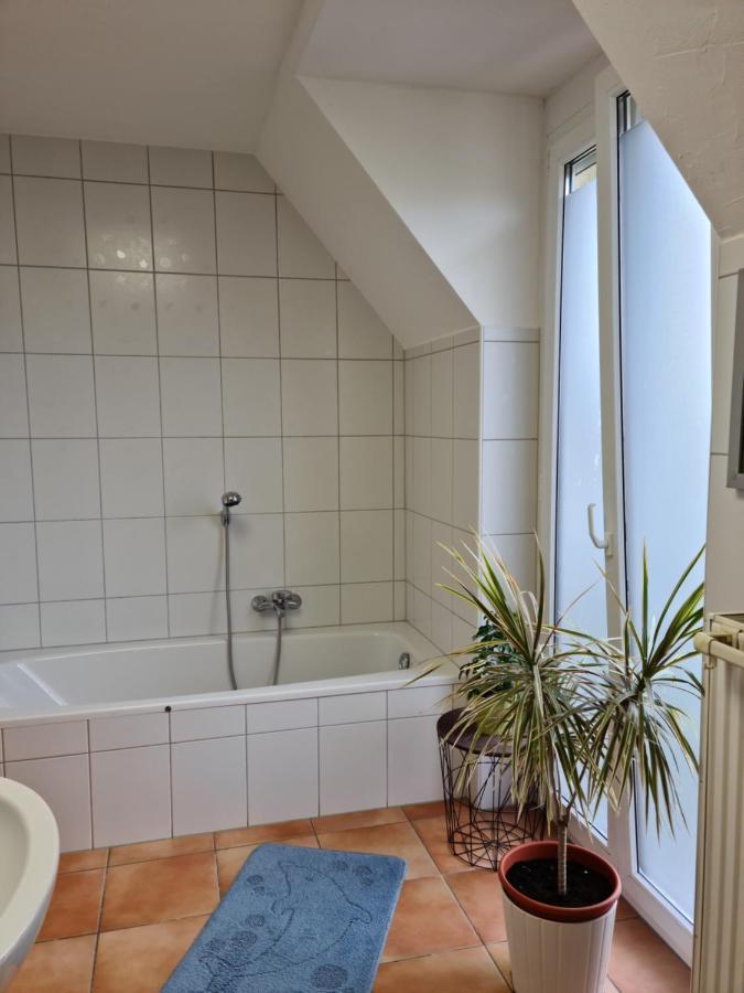 Lichtdurchflutetes Zimmer - Mainwiesen Waldbuttelbrunn Zewnętrze zdjęcie