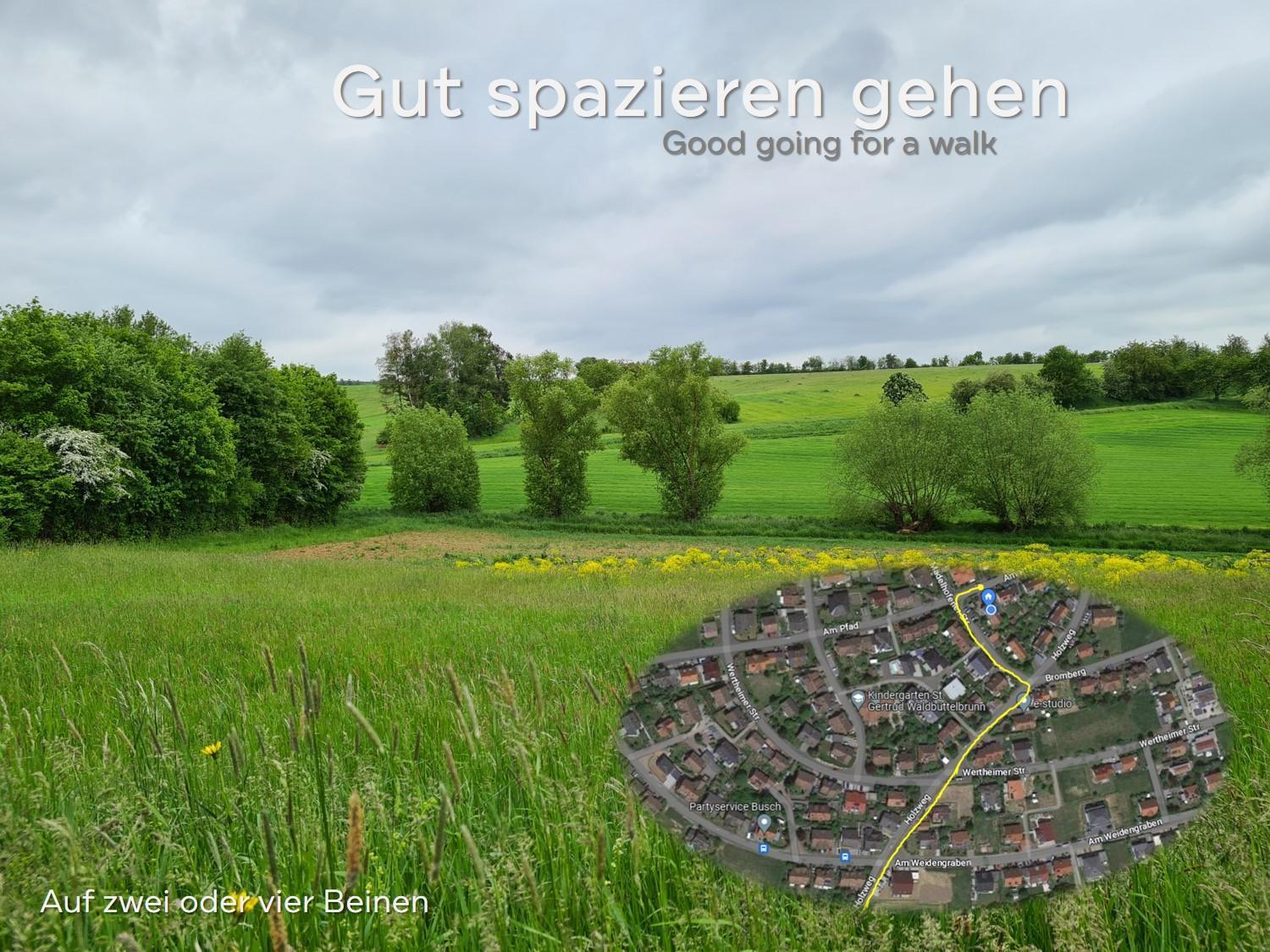 Lichtdurchflutetes Zimmer - Mainwiesen Waldbuttelbrunn Zewnętrze zdjęcie